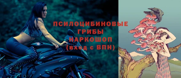 МДМА Алексеевка