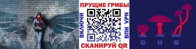 Псилоцибиновые грибы GOLDEN TEACHER  закладка  Елизово 