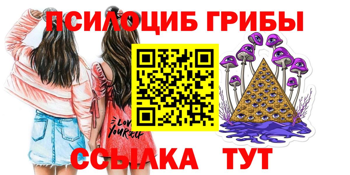Псилоцибиновые грибы Cubensis  Вход с VPN  Елизово 