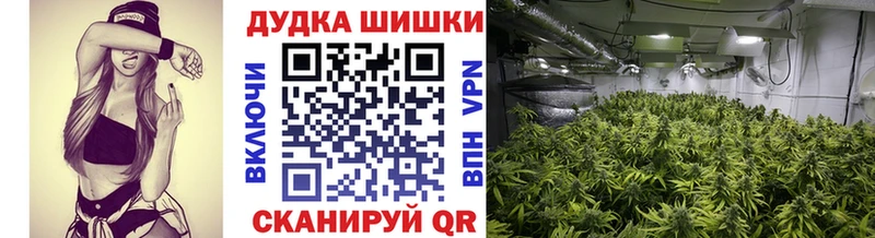 МЕГА рабочий сайт  Елизово  Каннабис THC 21% 